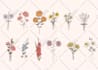 draw botanical illustrations of flowers, plants and fruits