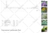 do architectural site plan and landscape design