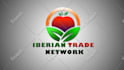 do professional logo design