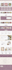 add custom HTML, CSS, javascript, jquery code in squarespace