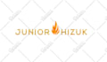 design a flat and professional logo for you