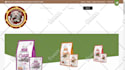 build and design professional responsive wordpress website