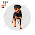 draw animals, character for tufting, rug makers