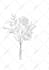 create a custom minimalist fine line tattoo design