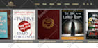 design or develop pro wordpress blog website