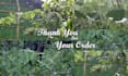 record real rainforest rain sounds videos for youtube channel