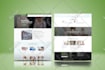 do fast loading business wordpress website within 48 hours