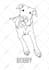 draw a custom animal single line art portrait