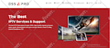 craft responsive wordpress website wordpress development