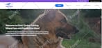 design wix ecommerce website or redesign wix website design