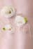 do professional high end jewelry images jewelry retouch and image editing