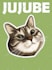 draw your dog cat or pet animals in vector art illustration