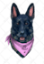 draw your dog in semirealist style