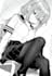 train an anime, video game, manhwa or oc character lora