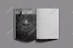 design fantasy, sci fi, horror, and mystery book covers