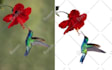 professionally vectorize your logo, convert image to vector