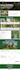 wix website design and redesign wix website redesign wix website development
