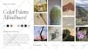 design a cohesive color palette and mood board