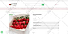 do web design and build complete wordpress website