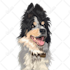 make a pet portrait from a photo of your pet