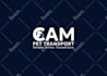 do custom modern business logo design and branding kit