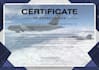 design executive, professional certificates