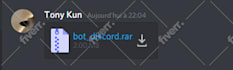 develop your bot discord