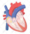 create scientific illustrations, diagrams and graphical abstracts