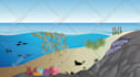 create medical illustrations, infographics, diagrams