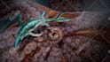 draw dinosaurs and other prehistoric creatures
