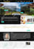 design and develop a professional wordpress business website