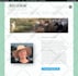 build wordpress website design or wordpress blog using elementor pro
