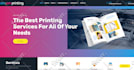 develop professional wordpress website