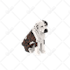 make your dog, cat, pet using lego bricks