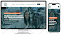 design and redesign website for small business