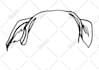 draw pet ears silhouette for tattoo