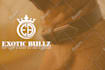abstract essence tailored logo designs for modern brands