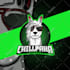 design professional mascot logo and twitch overlay