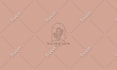 design a custom hand drawn, feminine, and botanical boho logo design