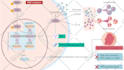 make a scientific illustration for your next paper