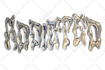 create a chrome and liquid fonts