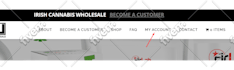 customize wordpress and woocommerce website