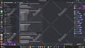 setup custom discord server professionally