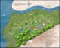 render architecture site plan and town plan for real estate