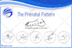 be your personal graphic artist
