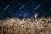 edit your astrophotography photos
