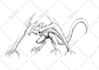 draw monster or fantasy creature in sketch illustration