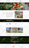 design or redesign squarespace website professionally