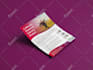 create pro flyer, poster, or brochure in 8 hours