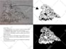 logo design for your brand identity